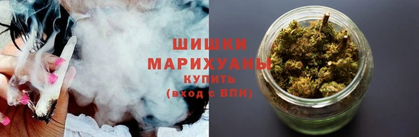 молекула духа Белоозёрский