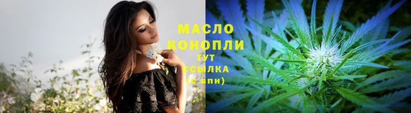 молекула духа Богданович