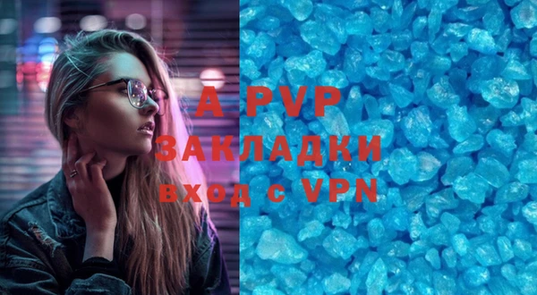 молекула духа Богданович