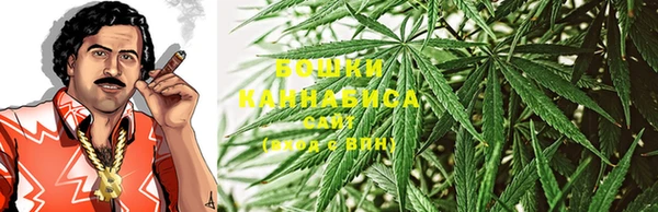молекула духа Богданович