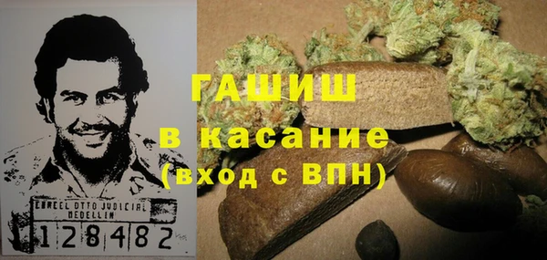 молекула духа Богданович