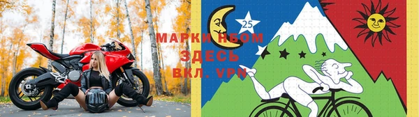 молекула духа Богданович