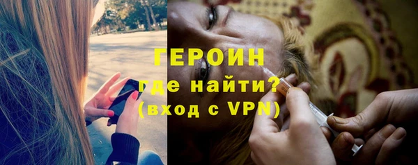 молекула духа Богданович